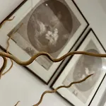 Διαμέρισμα Today With A Private Balcony Φλωρεντία