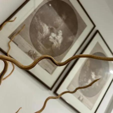 Apartamento Today With A Private Balcony Florença