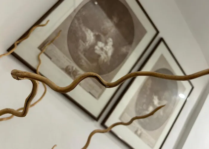 公寓 Today With A Private Balcony 佛罗伦萨